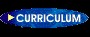 Curriculum Vitae 